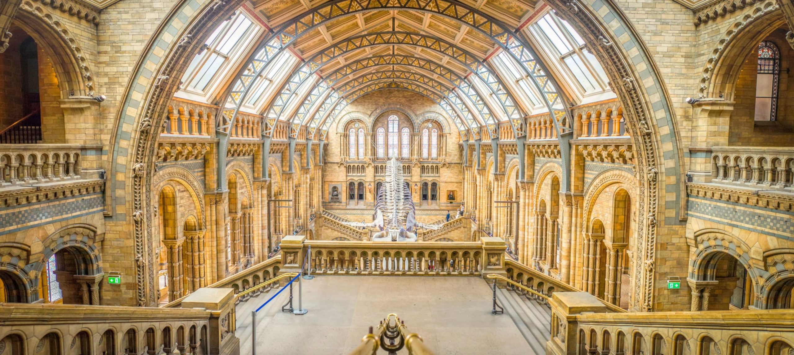 Museum Für Natur Und Umwelt 13 Free Museums In London - The Best Picks