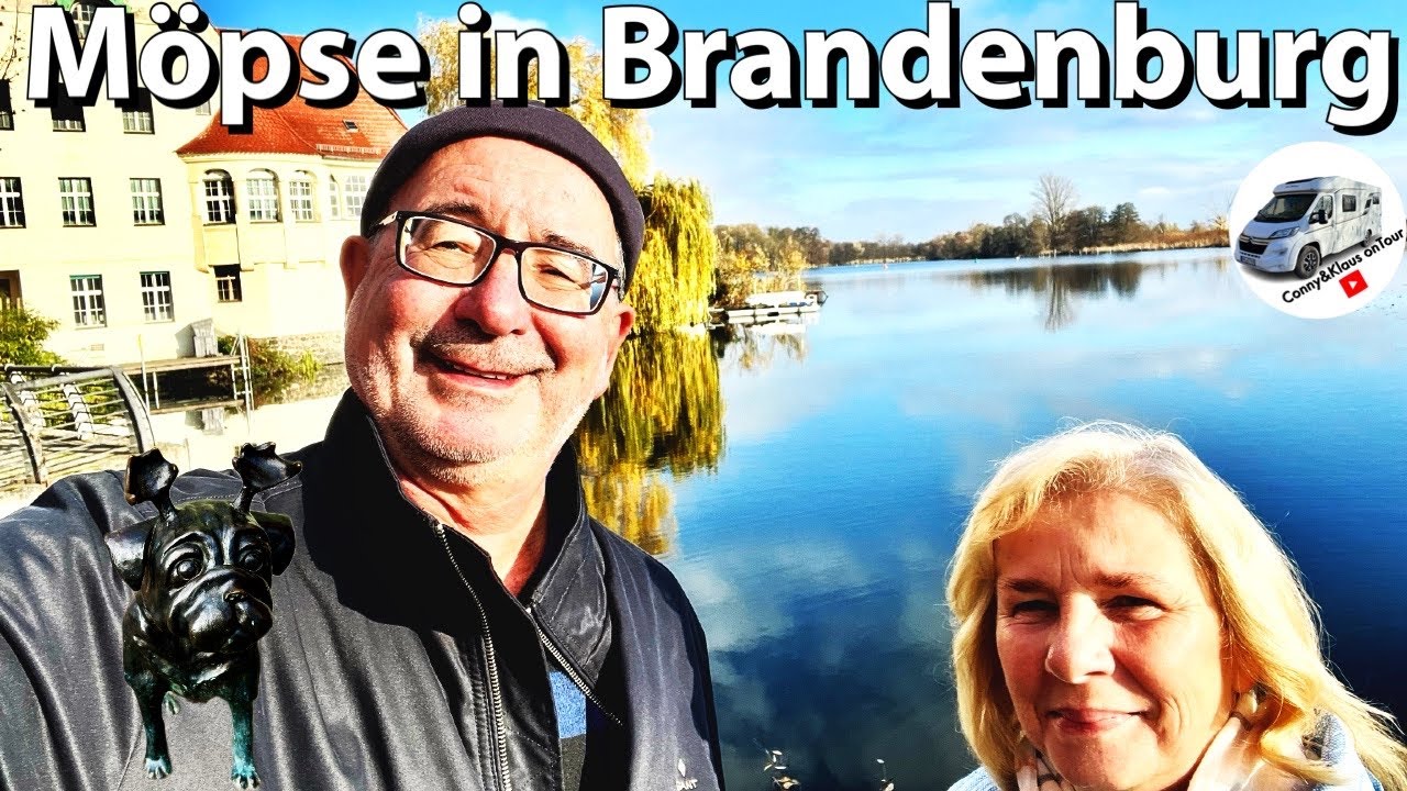 Orthopäde In Brandenburg An Der Havel #174 Möpse in Brandenburg, ein Wochenende an der Havel - YouTube