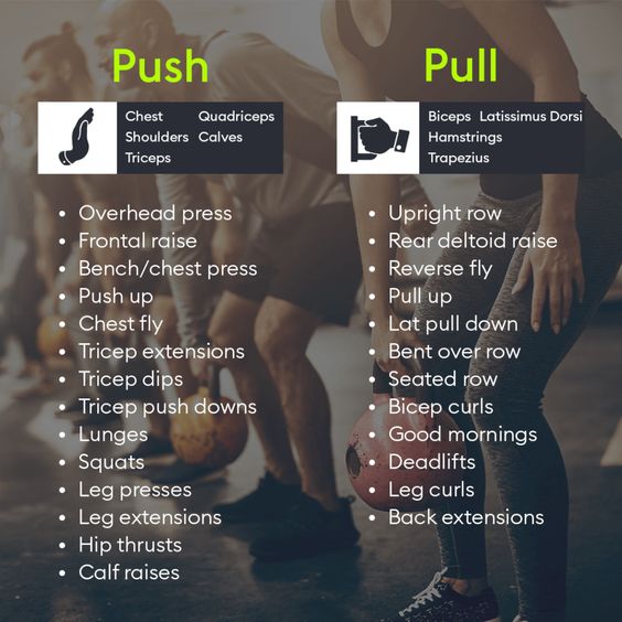 Push And Pull Factors Of Migration 4 Day Push Pull Workout Routine Pdf | EOUA Blog