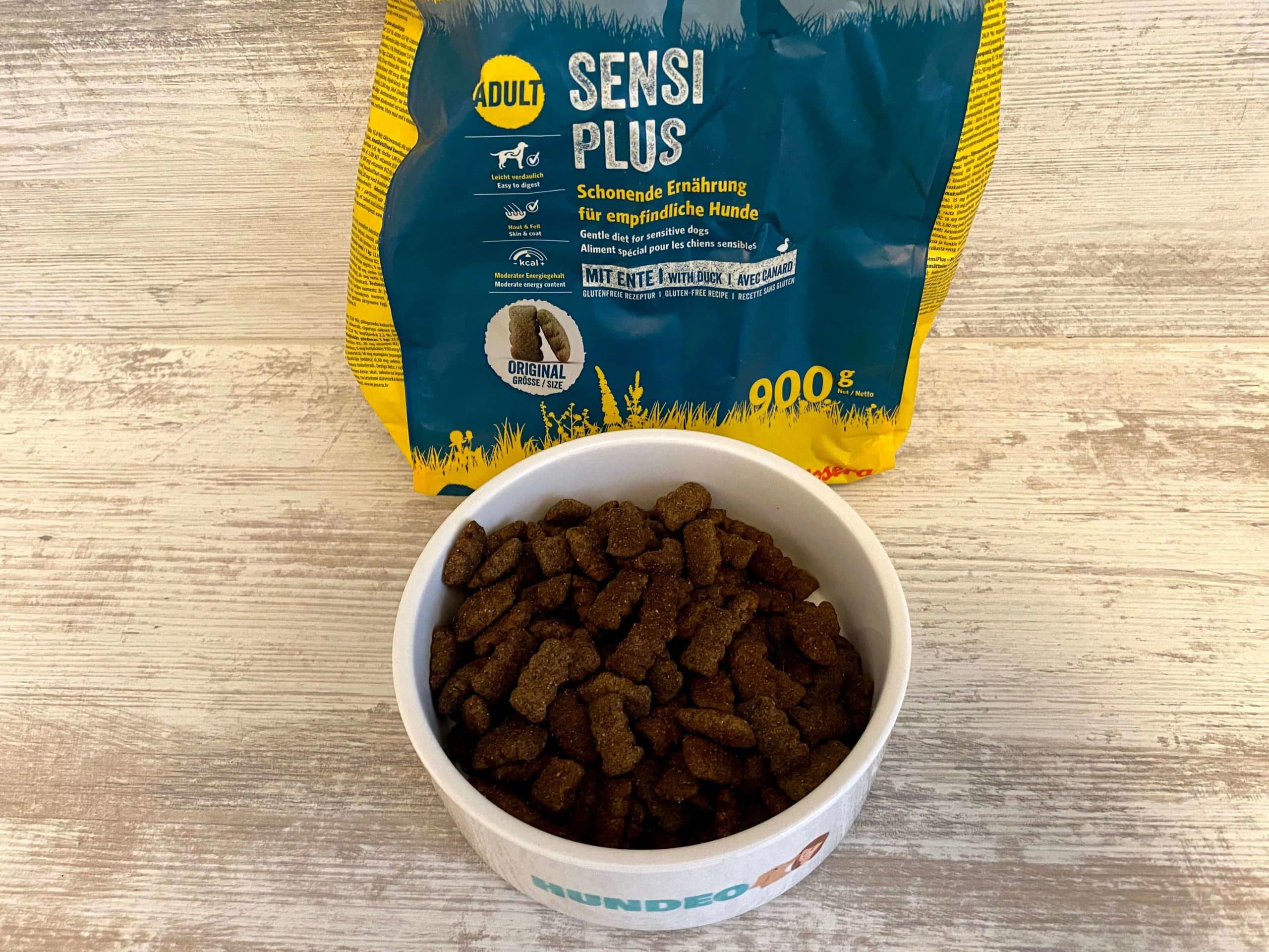Hundeschule Für Kleine Hunde In Der Nähe