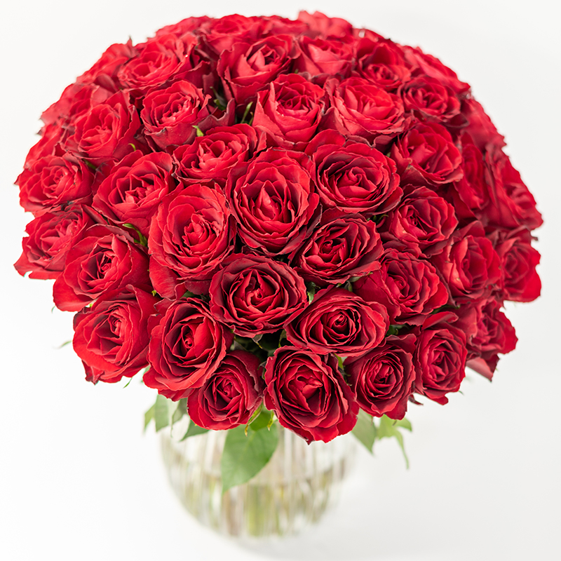 Rote Karte Berlin Termin Online Mitte 50 Rote Rosen | Lieferung am nächsten Tag | Euroflorist