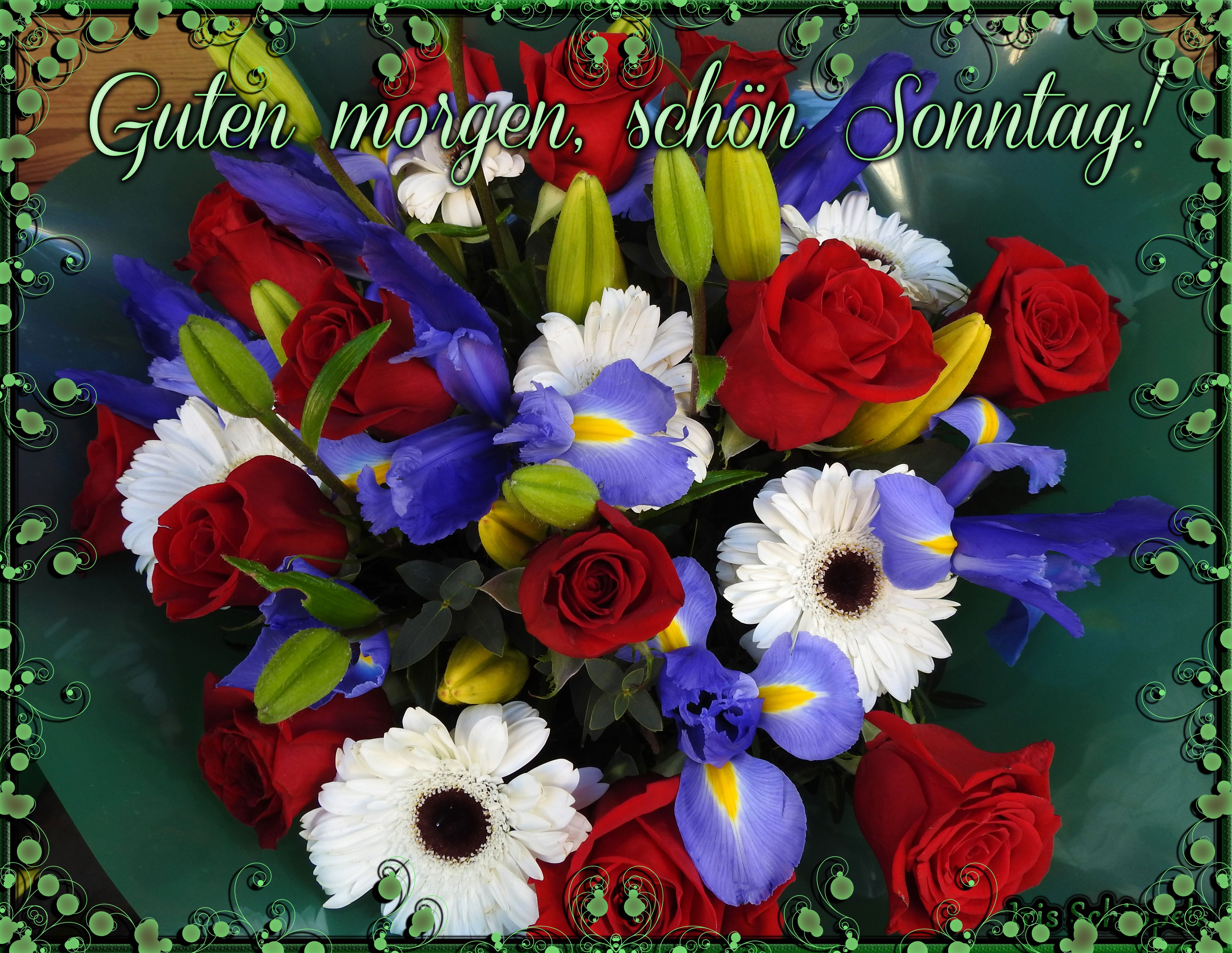 Sonntags Blumen Kaufen In Der Nähe
