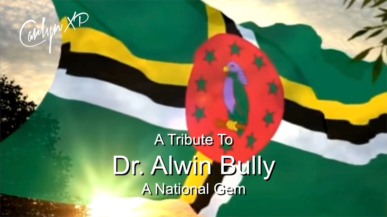 Rezensionen Für Dr. Med. Alwin Sauer Facharzt Für Orthopädie A Tribute To Dr. Alwin Bully | A National Gem - YouTube