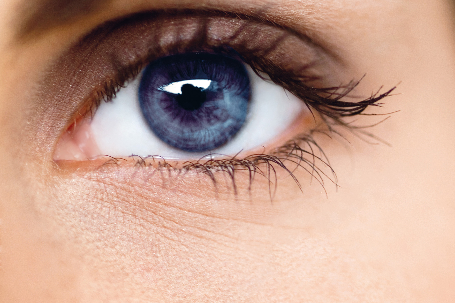 Eyes And More Koblenz Löhr Center A workout for your eyes