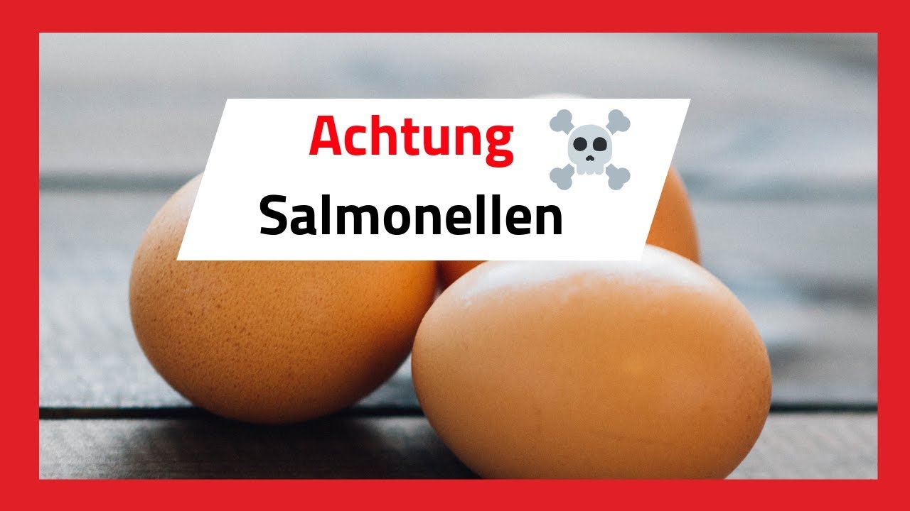 Wie Lange überleben Salmonellen Auf Oberflächen Achtung Salmonellen 🥚 Eier die Gefahr was tun? 🔴 - YouTube