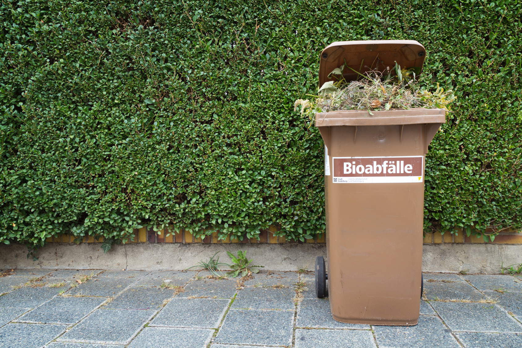 Biotonne Maden Deckel Offen Lassen Aktion Biotonne Deutschland (German organic waste campaign) launches a