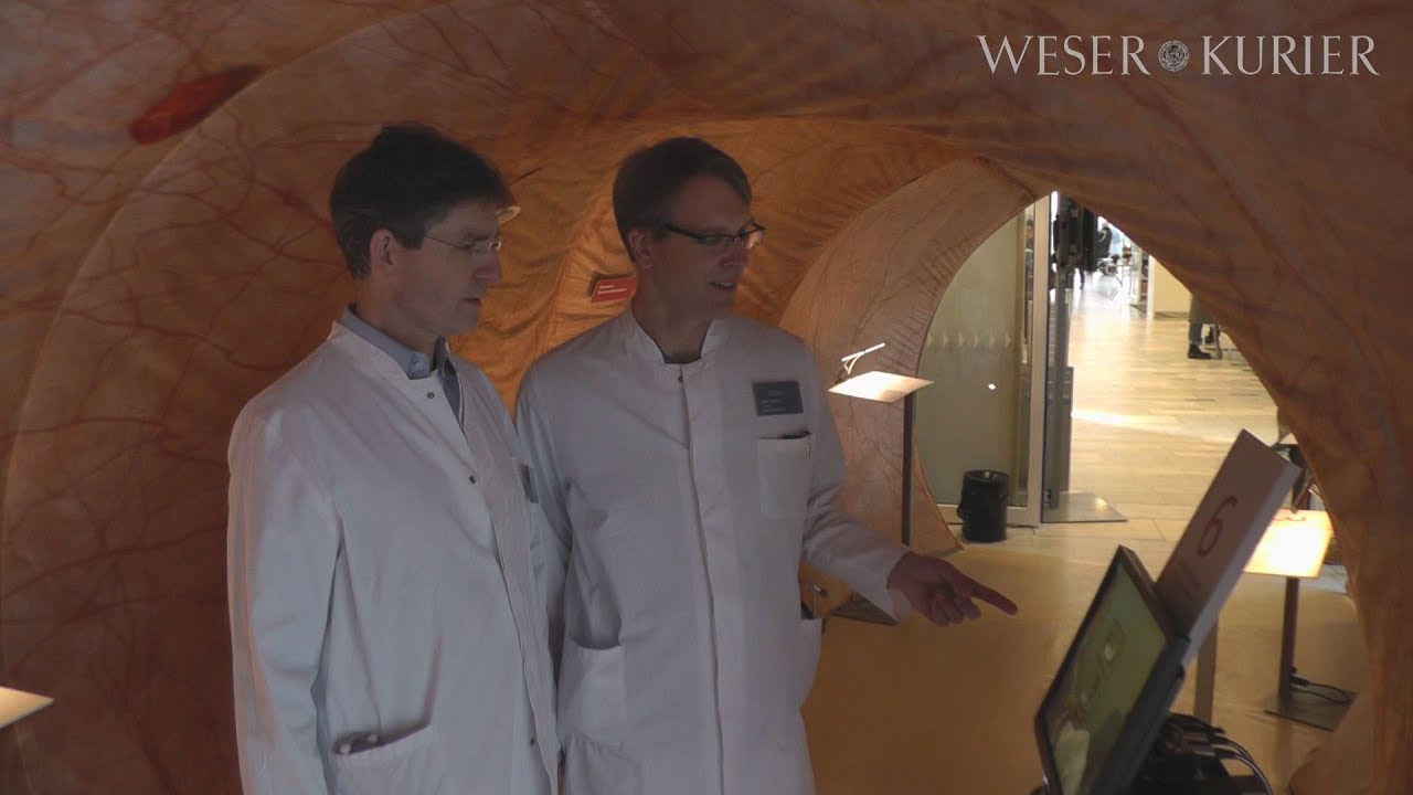 Hno Arzt Bremen St Joseph Stift Aktion im St. Joseph-Stift Bremen: Ein begehbarer Darm - YouTube