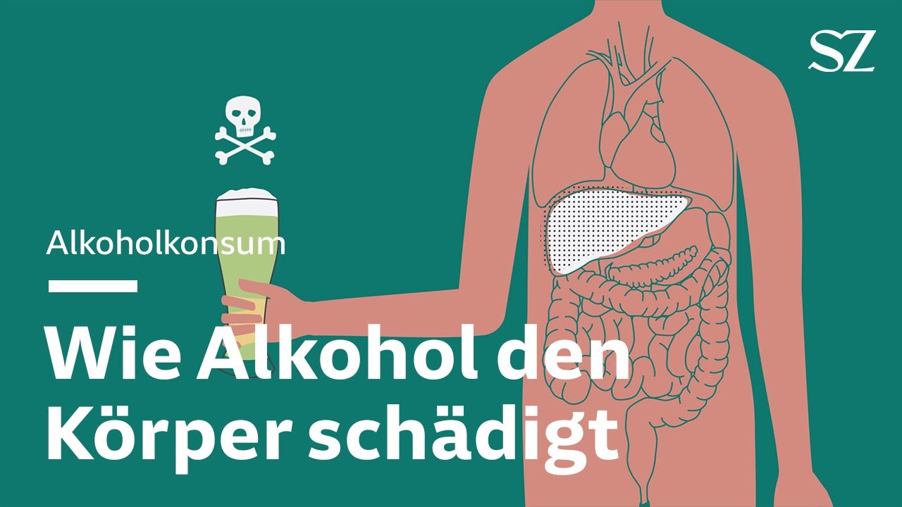 Erweitertes Führungszeugnis Wie Lange Dauert Es Alkohol: Wie Alkohol den Körper schädigt - YouTube