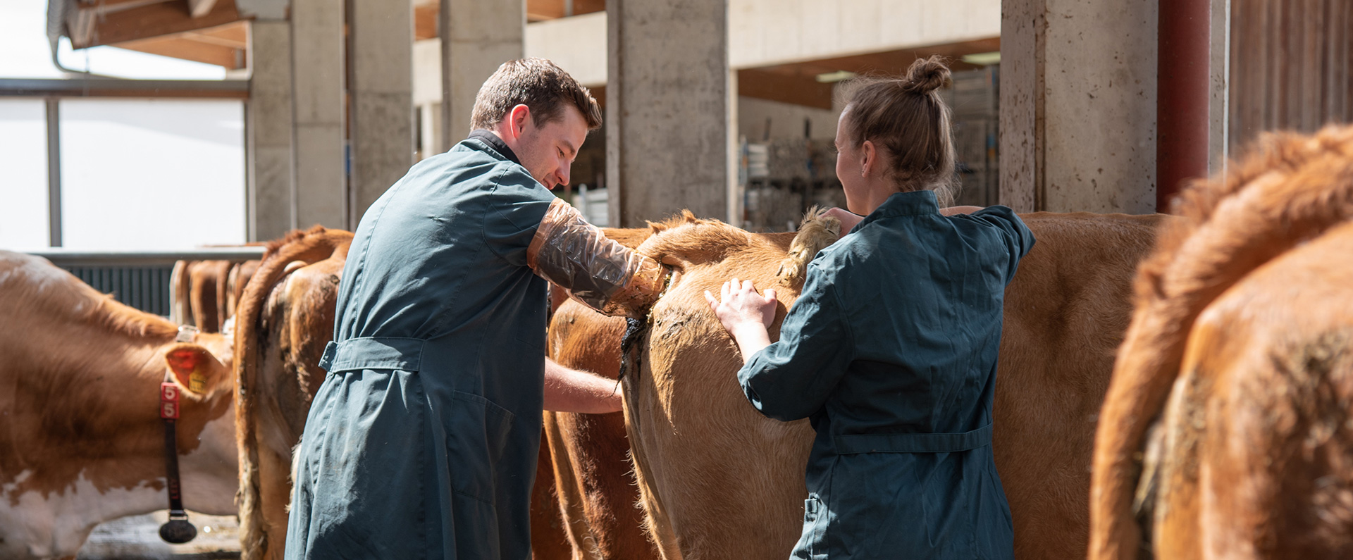Tierarztpraxis Dres. Med. Vet. Andreas & Kerstin Richter Anmeldung – Tierarztpraxis für Rinder - Dr. med. vet. Florian Straßer