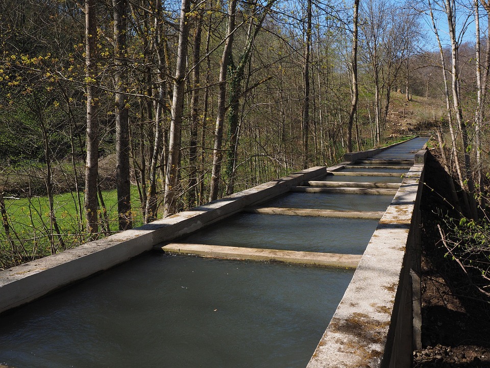 Kanal Und Rohrreinigung In Der Nähe Aquädukt Wasserkanal Kanal · Kostenloses Foto auf Pixabay