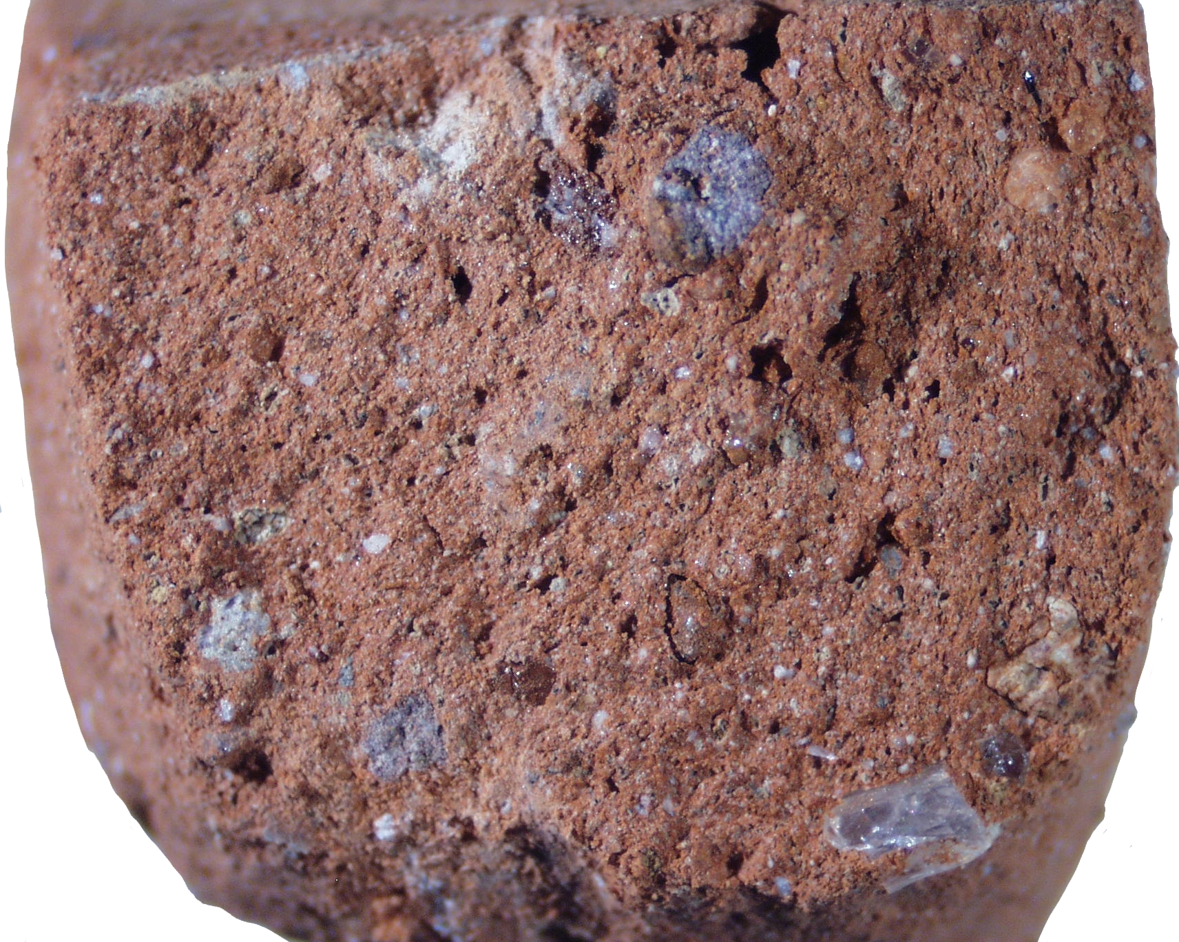 Dressel Pkw-service Gmbh & Co. Kg Archives: Amphora: Dressel 1: specimen