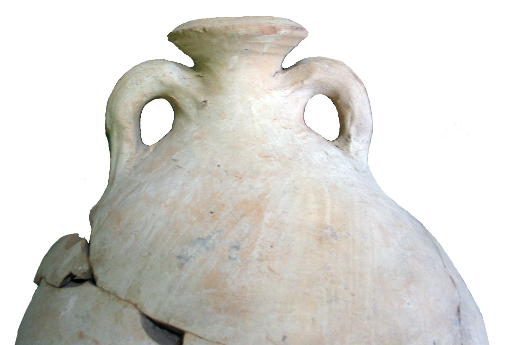 Dressel Pkw-service Gmbh & Co. Kg Archives: Amphora: Dressel 20: specimen