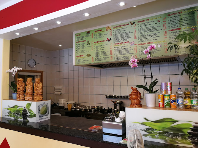 Entenhaus Asia Inh. Thi M Restaurant Asia Imbiss Inh. Bui Van Chung
