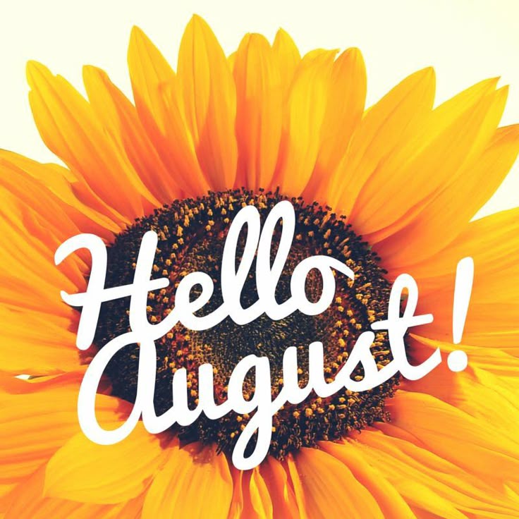 August Meyer Entsorgung Technische Dienstleistungen Gmbh + Co. Kg August | Hello august, August images, August wallpaper