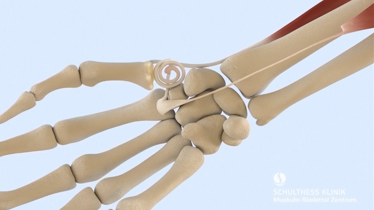 Opn Up Osteopathie Physiotherapie & Naturheilkunde In Saarbrücken
