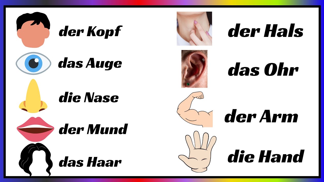 Innere Medizin Arzt In Der Nähe Beim Arzt | mit Dialogen Deutsch lernen A1 | Körperteile und einen