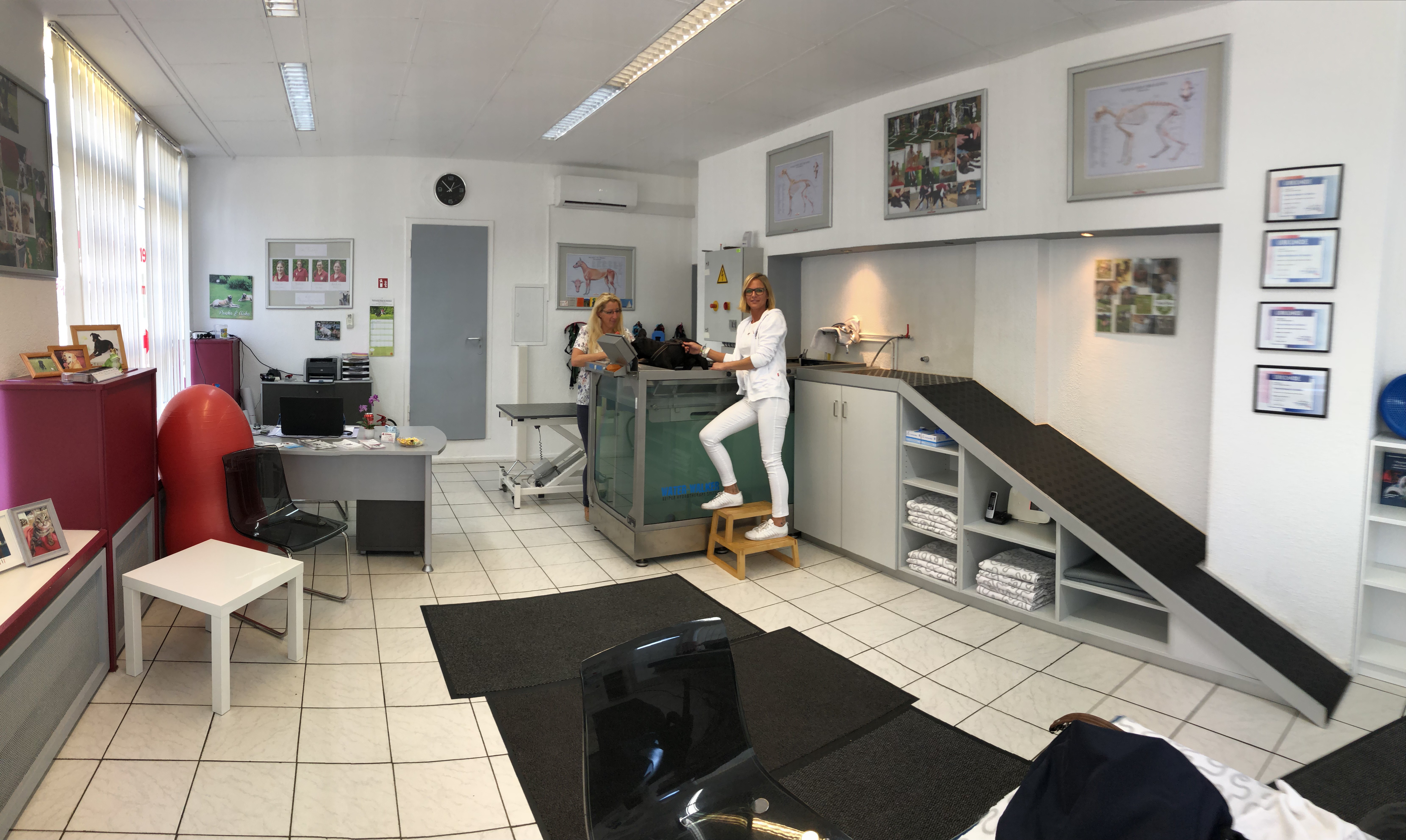 Anicura Recklinghausen - Tierärztliche Klinik Für Kleintiere Rezensionen Bildergalerie – Tieraerztliche Klinik für Kleintiere Dr. med. vet. Jan
