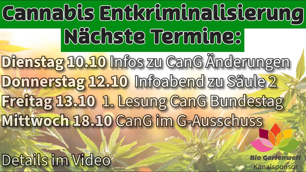 Darf Ich Mit Gürtelrose Arbeiten Cannabisgesetz CanG im Bundestag, nächste Termine im Oktober auf dem