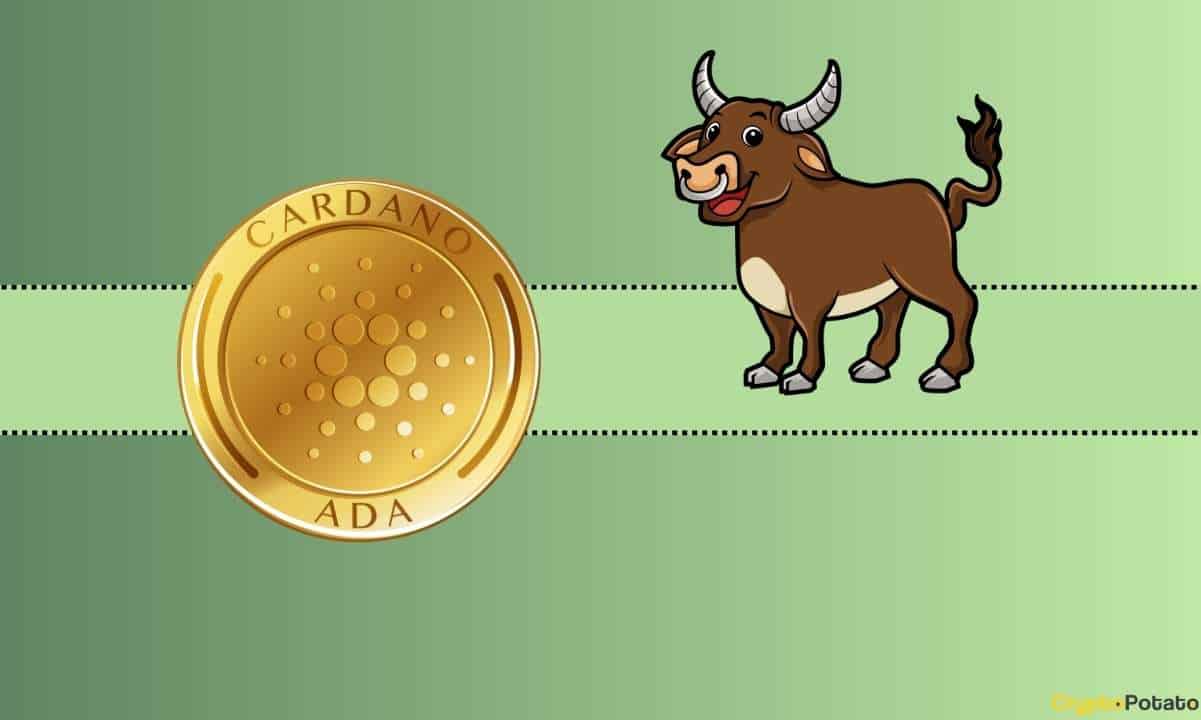 Hautarztpraxis Solingen - Dermanostic - Dr. Estefanía Lang Cardano Set to Explode? ADA Price Stable Despite Market Correction
