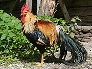 Italiener In Der Nähe Jetzt Geöffnet Category:Italiener - Wikimedia Commons