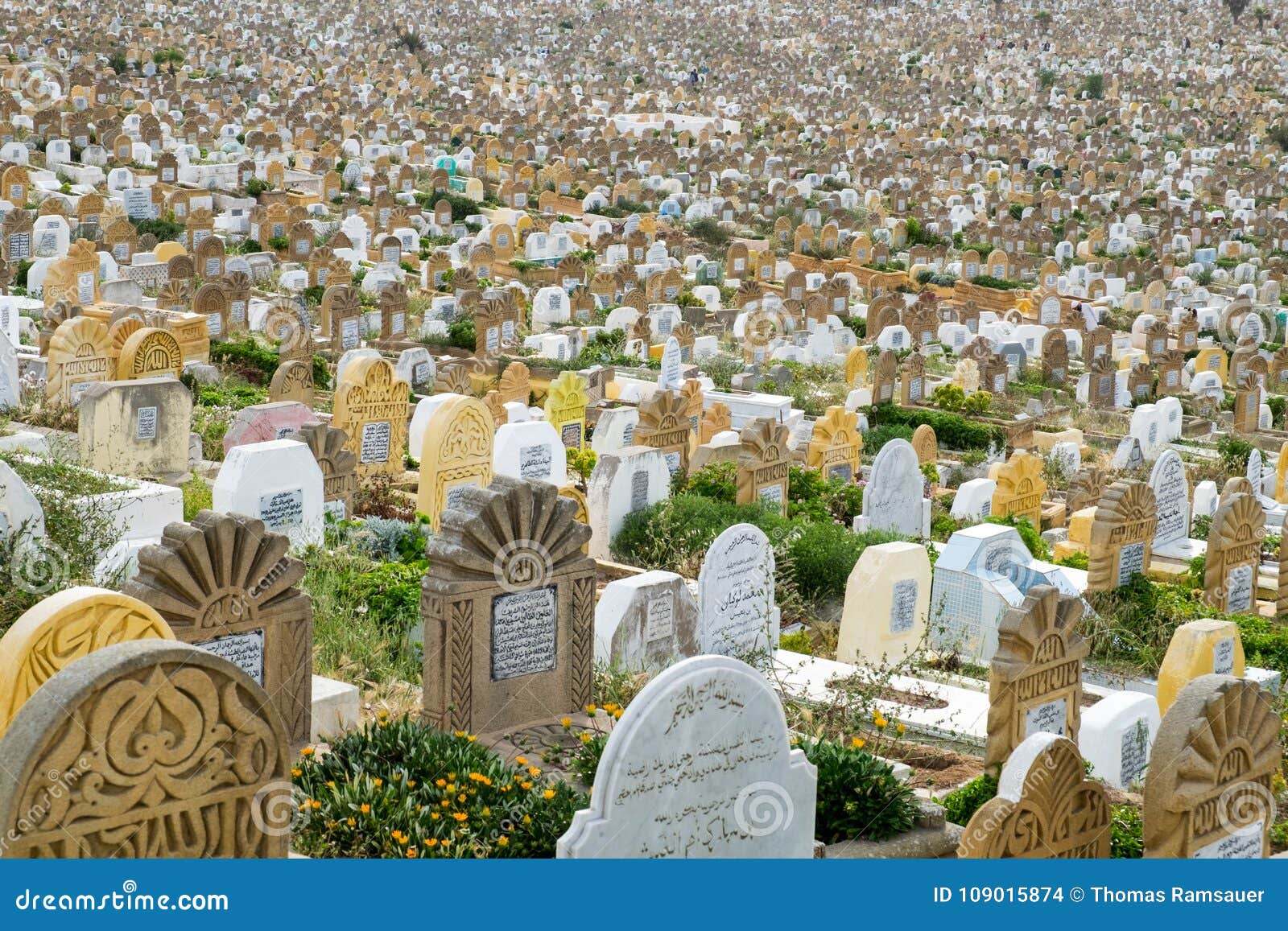 Muslimischer Friedhof In Der Nähe Cemetery Of Rabat Near The Kasbah Of Oudayas, Morocco Royalty-Free