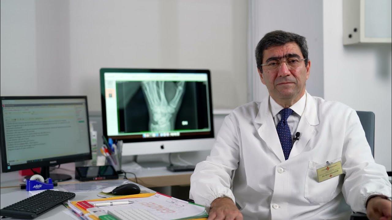 Mvz Dr. Ghasemi Und Kollegen Nord Gmbh