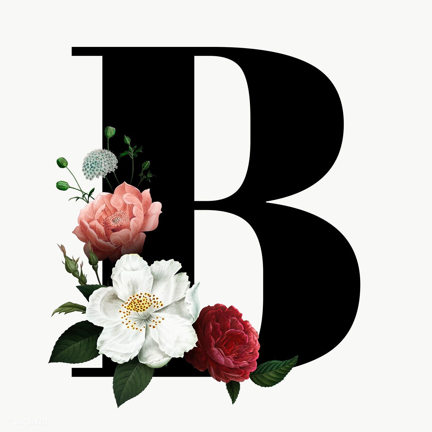 Bäckerei In Der Nähe Offen Heute Classic and elegant floral alphabet font letter B transparent png