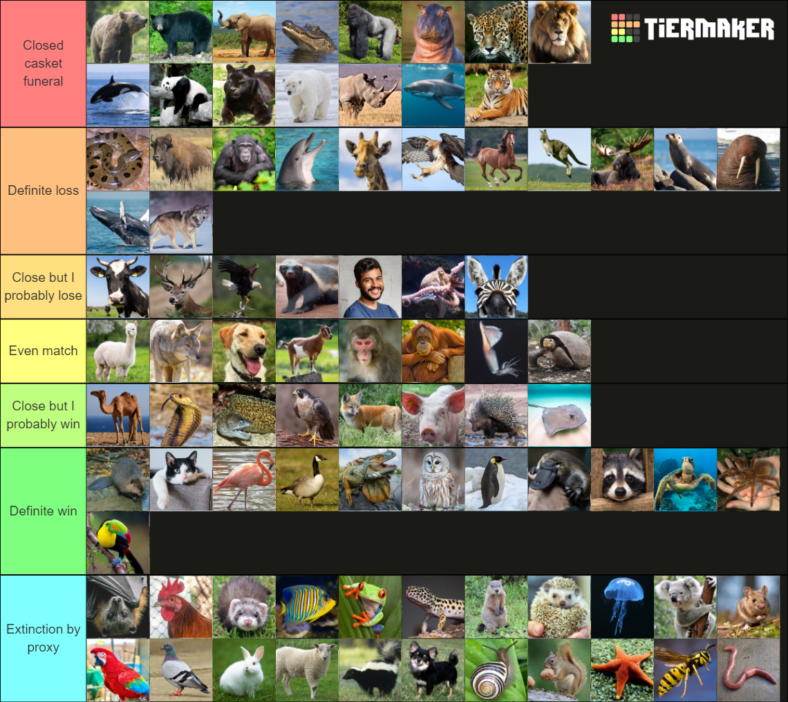 Tierärztliche Gemeinschaftspraxis Christine & Marc Müller Could you beat these animals in a fight? Tier List (Community Rankings