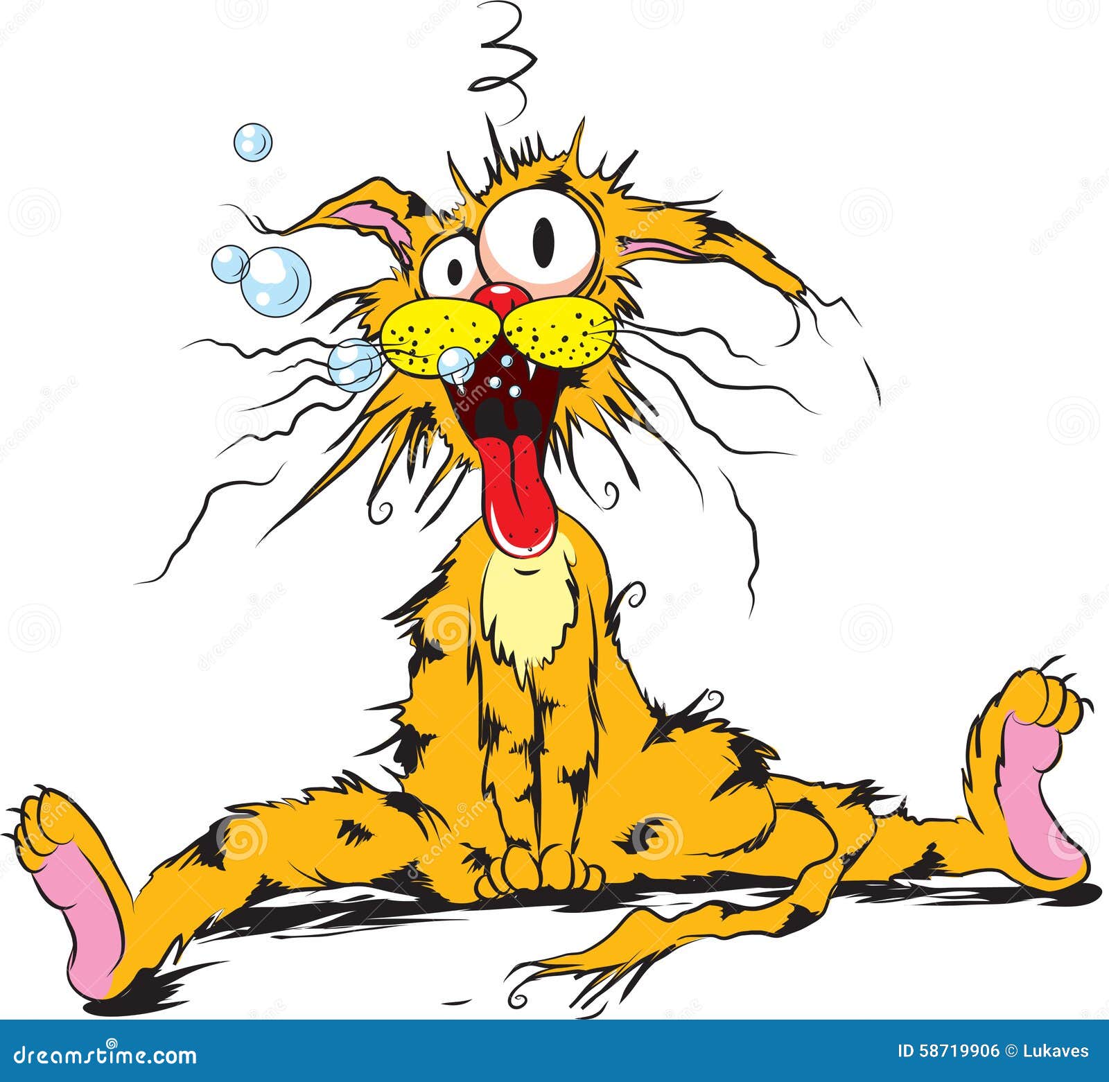 Crazy-cash / An Und Verkauf Von Unterhaltungselektronik Düsseldorf Crazy Cat Cartoon