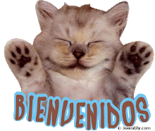 Xl Wash - Alois Ederer Gmbh Dándole a la lengua en 2º de ESO: Cómo celebrar el Día del Trabajador
