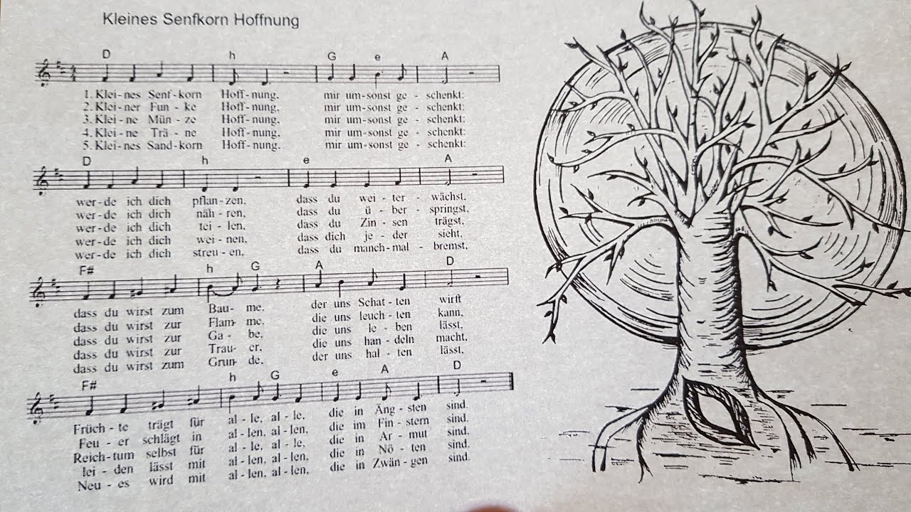 Gleichnis Vom Senfkorn Für Kinder Erzählt Das Gleichnis vom Senfkorn - YouTube