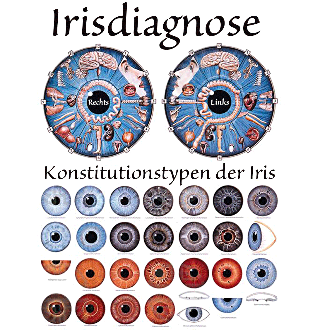 Heilpraktiker Mit Augendiagnose In Der Nähe