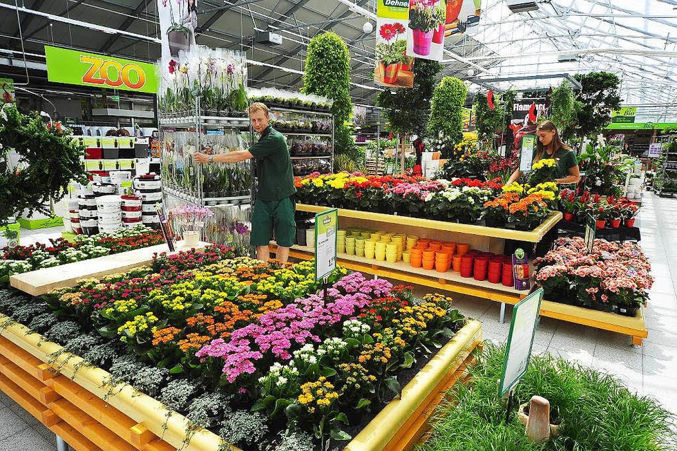 Gartencenter In Der Nähe Jetzt Geöffnet Dehner Gartencenter - Freiburg - Badische Zeitung TICKET