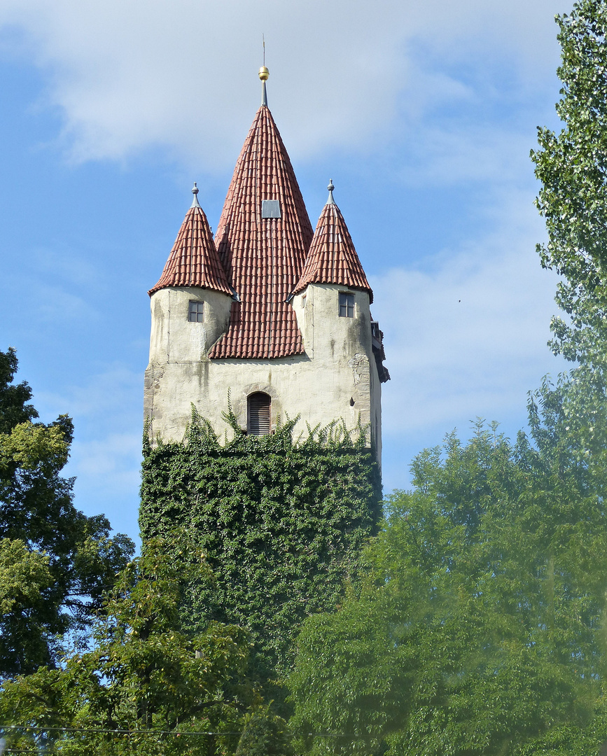Turm Der St. Petri Kirche Der Turm Foto & Bild | architektur, motive, bäume sträucher Bilder auf
