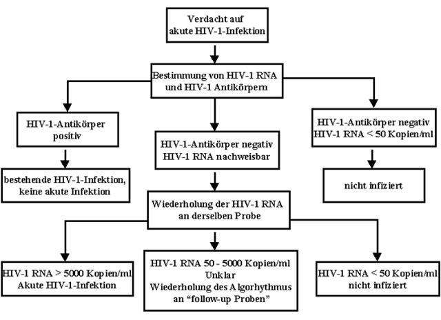 Wie Lange überleben Hiv Viren Im Blut An Der Luft Diagnose