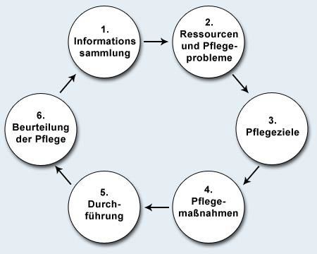 Pflegeprozessmodell Nach Fiechter Und Meier Diakonie Sozialstation Eckersdorf - Pflegeprozess