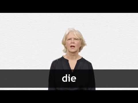 Die Zahngalerie - Dr. Antje Hottelmann & Dr. Lisa Hottelmann DIE - Definition & Translations | Collins English Dictionary