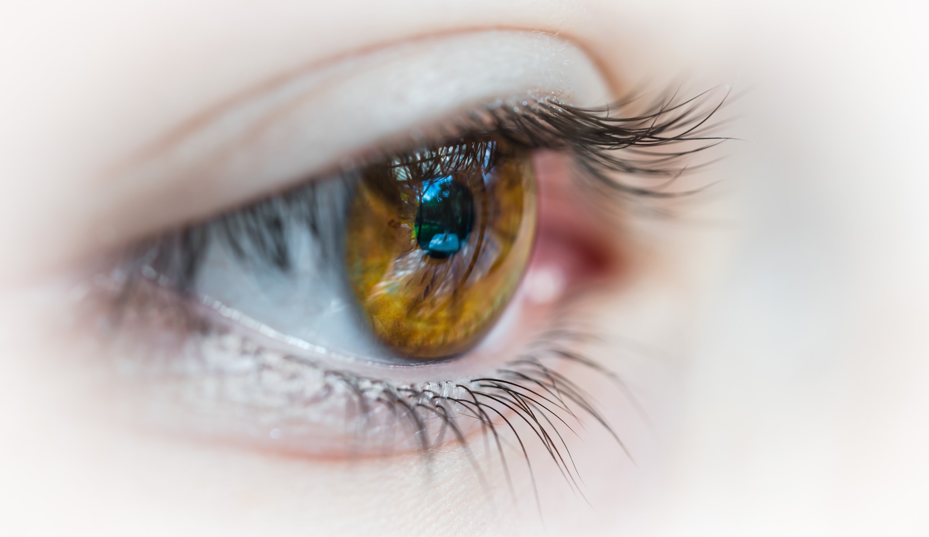 Augenärztliche Privatpraxis Dr. Med. Thomas Katlun Die Funktion des menschlichen Auges - Augenlaserzentrum Wien