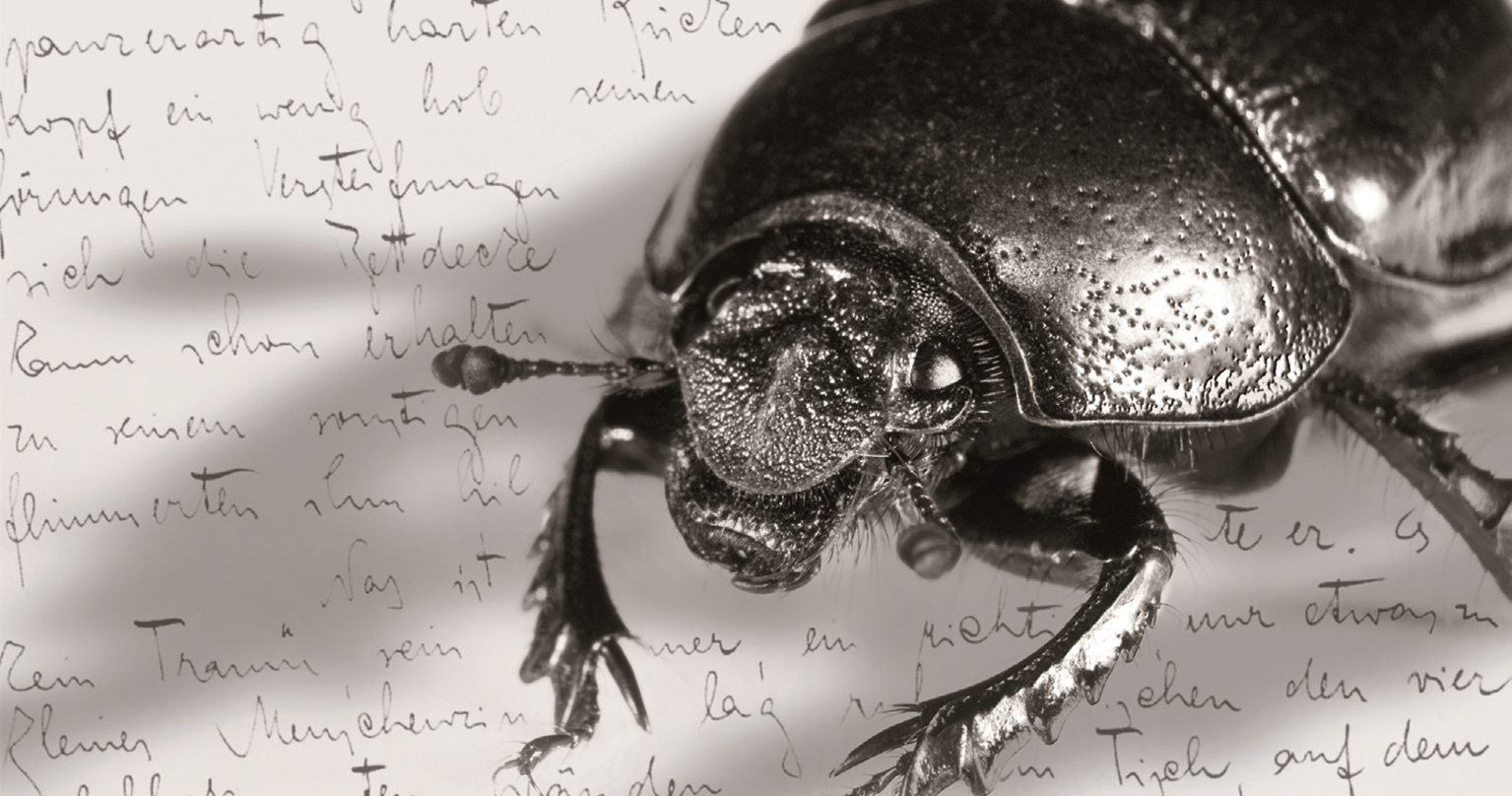 Franz Kafka Die Verwandlung Interpretation Die Verwandlung, Franz Kafka, 978-3-89919-641-2 | Vitalis