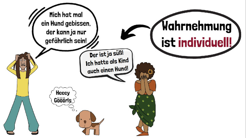 Wahrnehmen Und Beobachten In Der Pflege