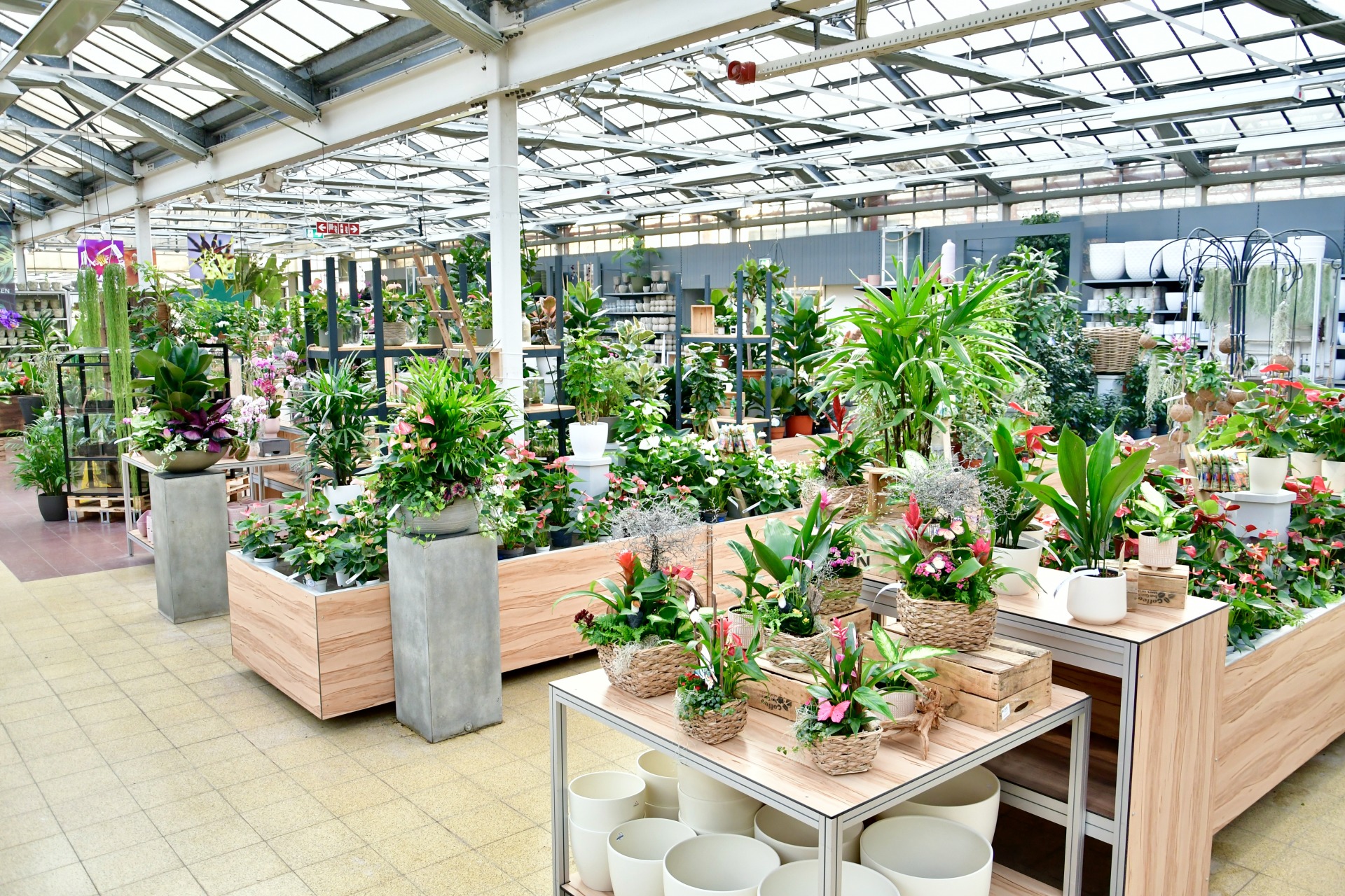 Gartencenter Im Umkreis Von 20 Km Dingers Gartencenter Köln – Lebensart 24