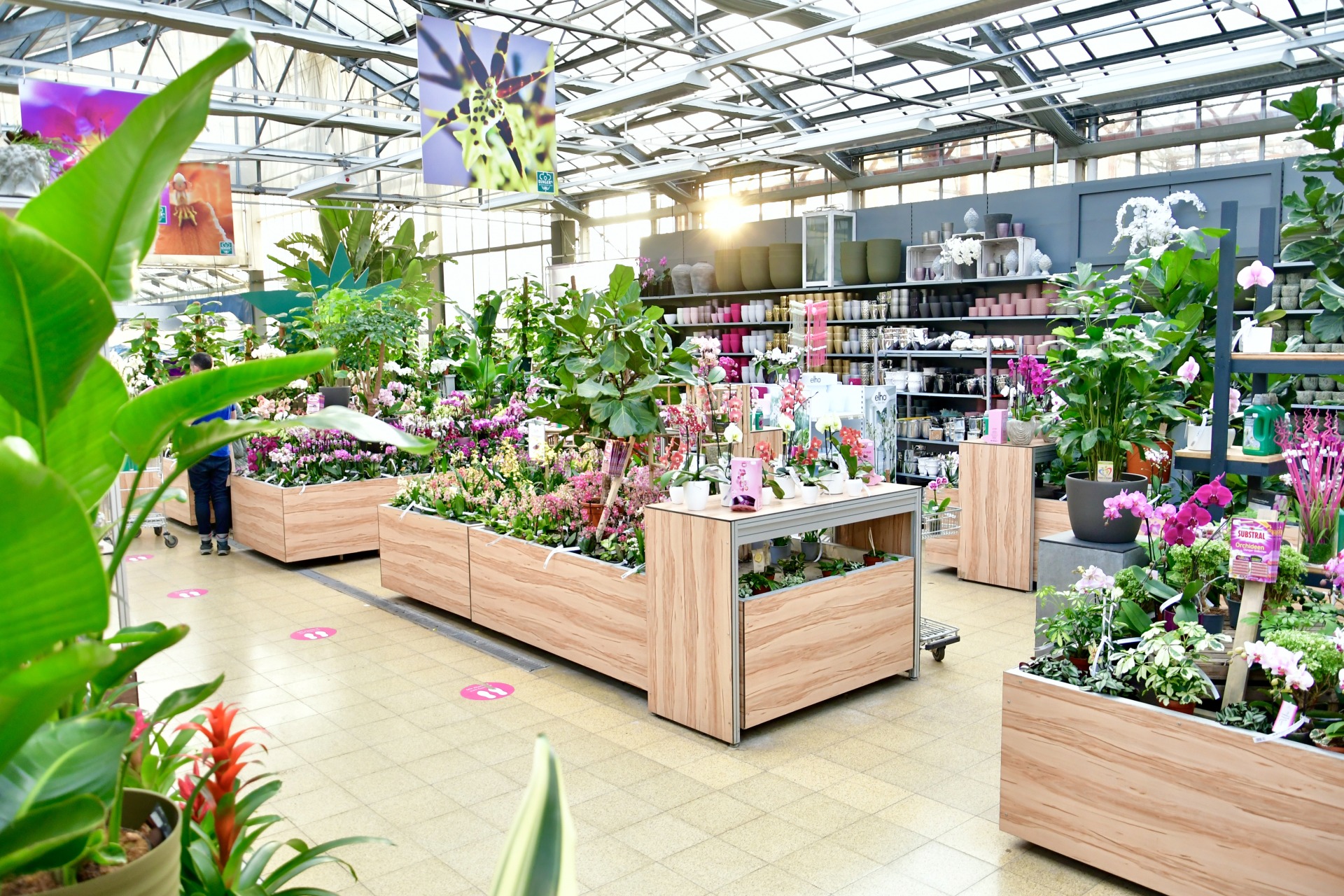Gartencenter Im Umkreis Von 20 Km Dingers Gartencenter Köln – Lebensart 24