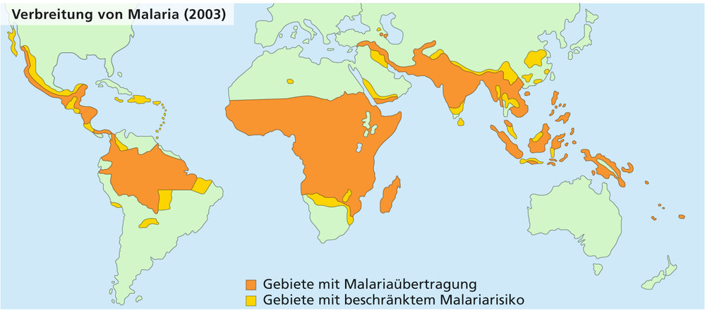 Verbreitung Von Früchten Und Samen
