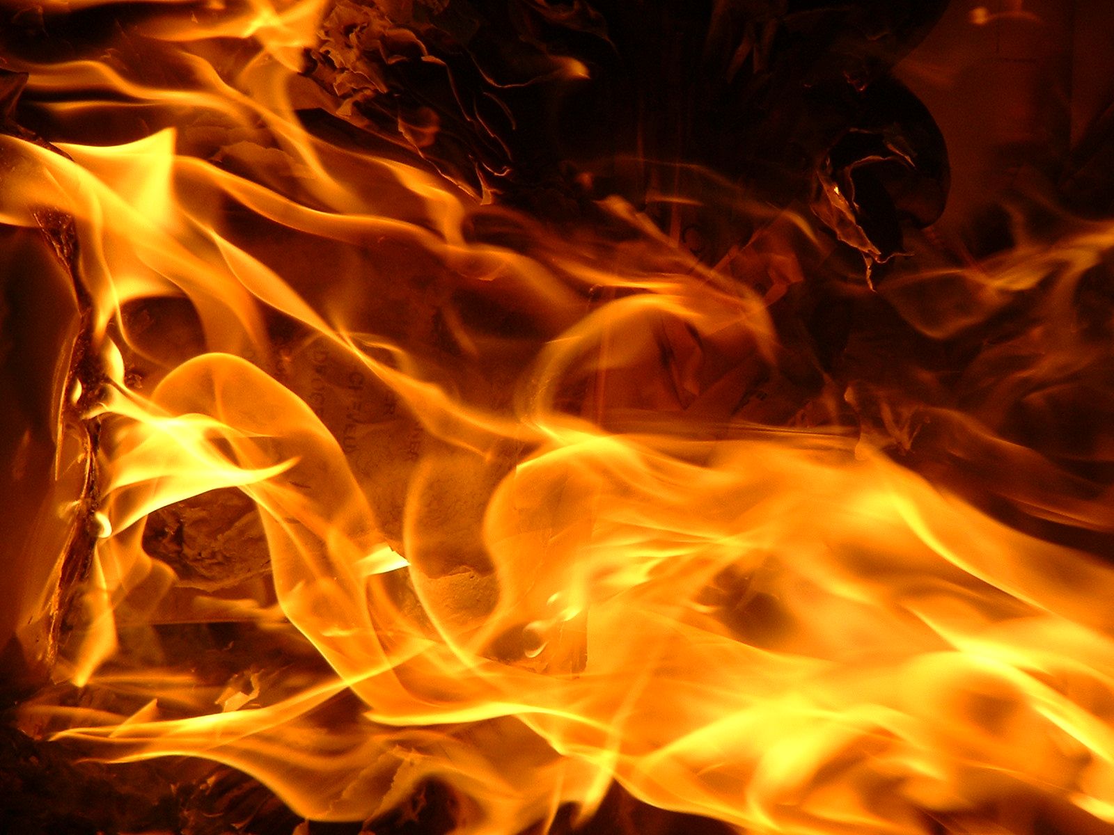 Fuego Del Sur An Der Halle 400 Kiel El Fuego: ¿Cuáles son los peligros del fuego?