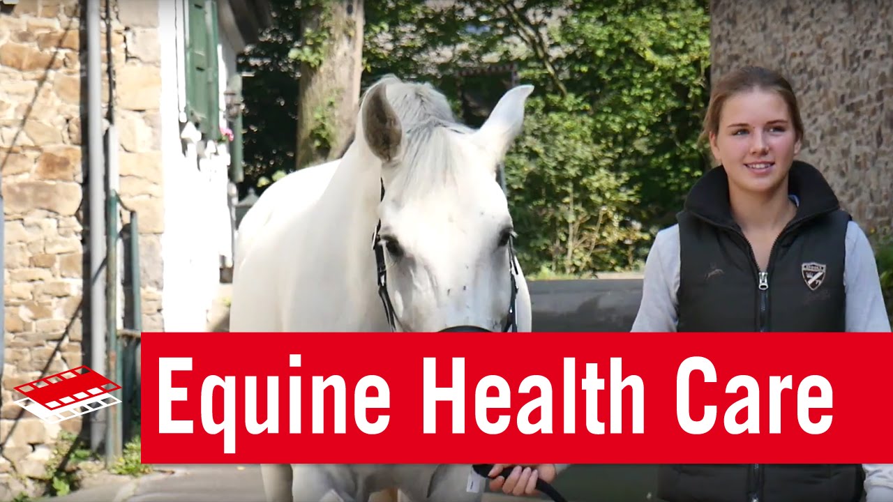Print & Copy-schmid U. Banse Gbr Equine Health Care Dres. Gerlach & Banse GbR | Unternehmensfilm - YouTube