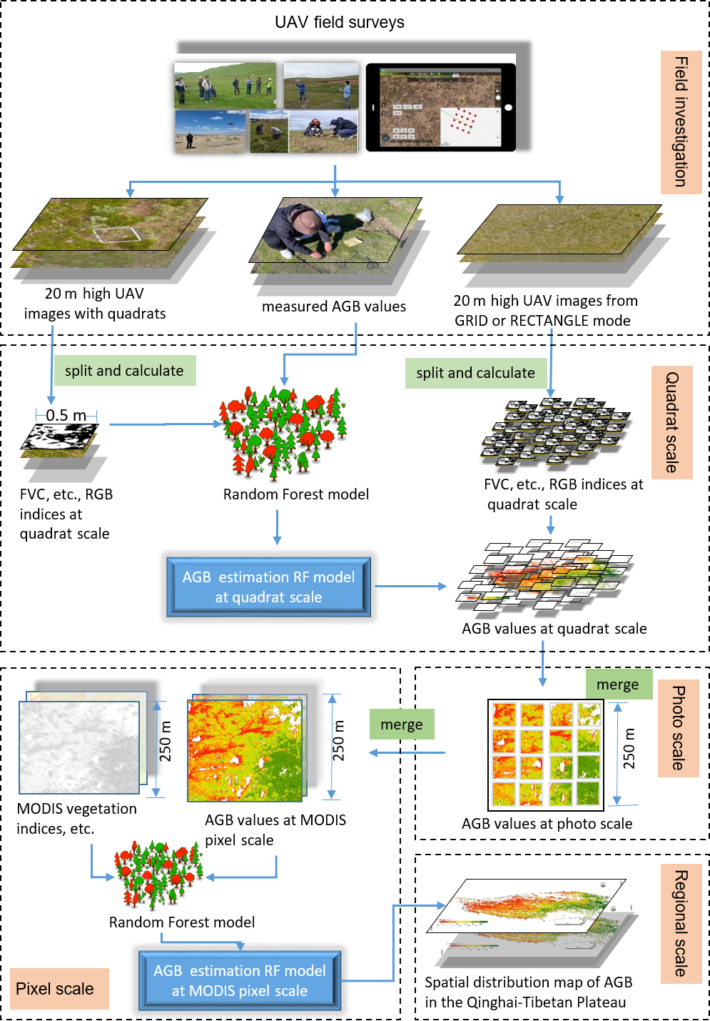 Agb Alster Gerüstbau Gmbh & Co. Kg ESSD - A 250 m annual alpine grassland AGB dataset over the Qinghai