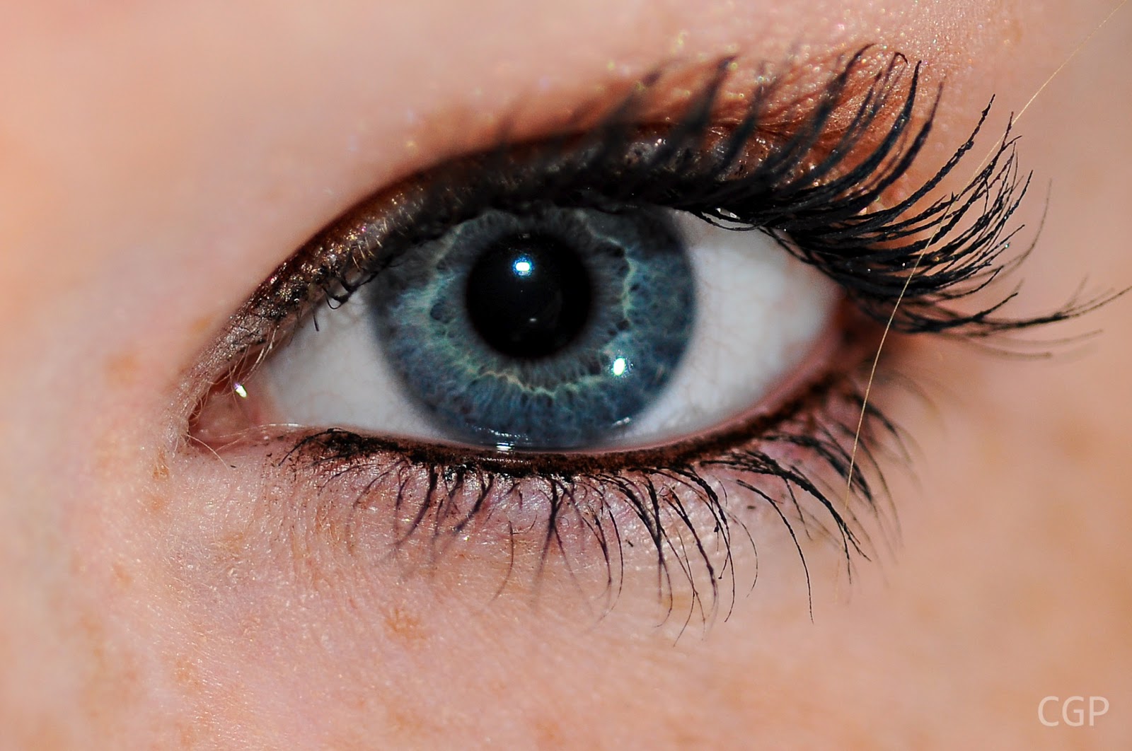 Eyes And More Koblenz Löhr Center Eye, Free Stock Photos - Free Stock Photos