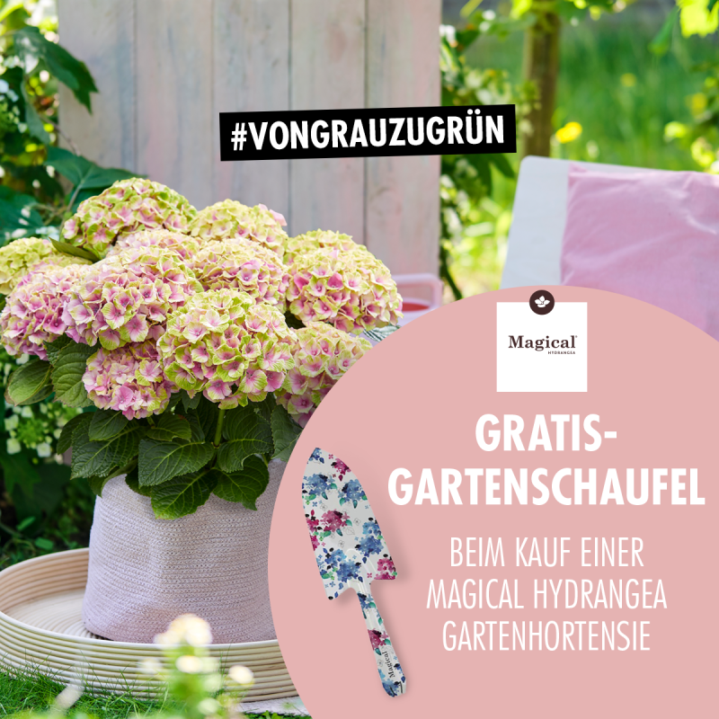 Gartencenter Augsburg Krefeld Gmbh & Co. Kg First shopper activation at Gartencenter Augsburg | Flower Council
