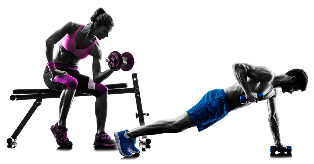 Fitness First Göttingen - An Der Uni Fitness PNG