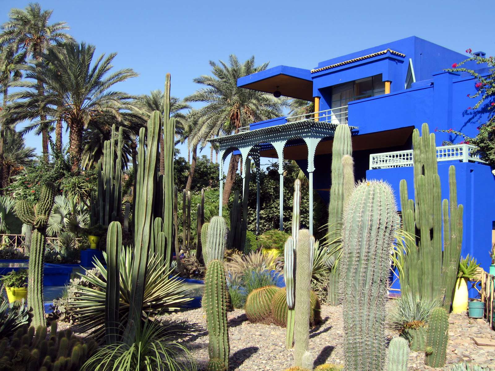 Garten Und Bauservice Braunschweig Teichstraße 1 Foto: Garten von Majorelle - Marrakech - Marokko